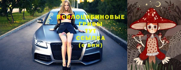 гашик Магас